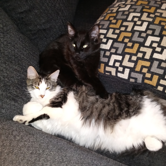 Meet your Posher, Holly - Picture 13 of 13